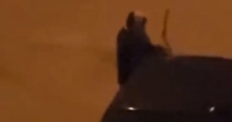 Çok sayıda aracın sileceklerini kırdı! Son dakika haberleri