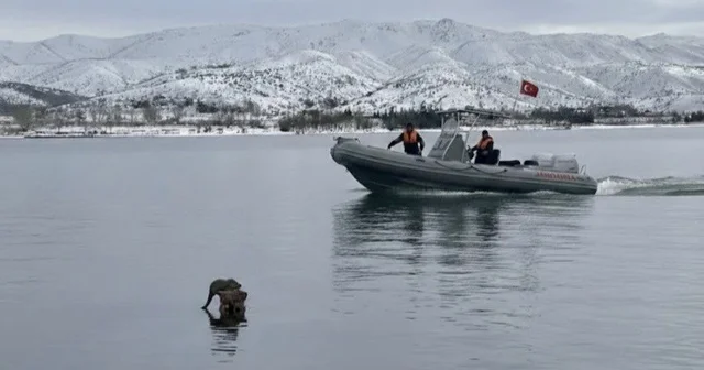 Hazar Gölü nde su samuru görüntülendi Elazığ Haberleri