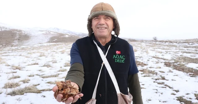 Kayseri nin Ağaç Dede si 1 milyondan fazla fidanı toprakla buluşturdu Kayseri Haberleri