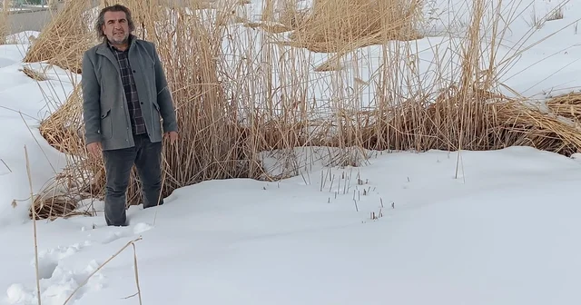 Sulak alanlar için hayati çağrı Prof. Dr. Lokman Aslan dan: Doğal mirasımızı kaybetmeden korumalıyız Van Haberleri