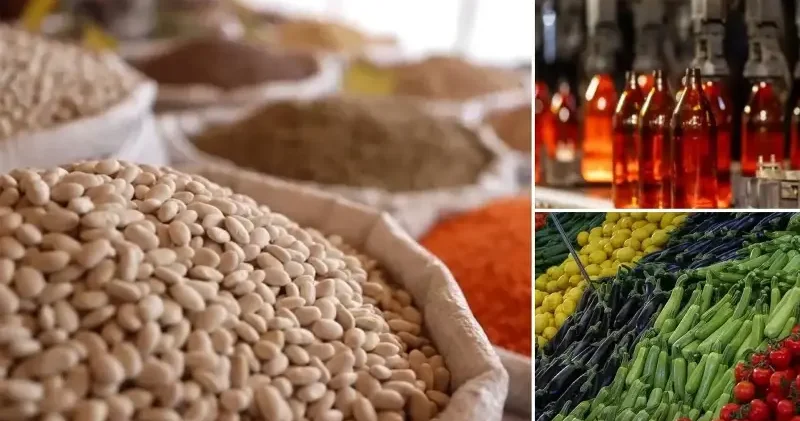 Yılın ilk ayında 2,4 milyar dolarlık tarım ve gıda ihracatı Ekonomi Haberleri