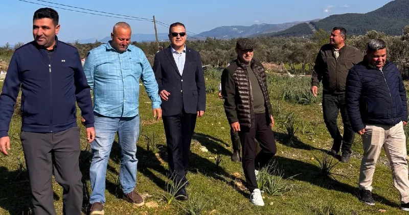 Bodrum a gelecek takımlar yaşadı: Çok ucuza kalacaklar