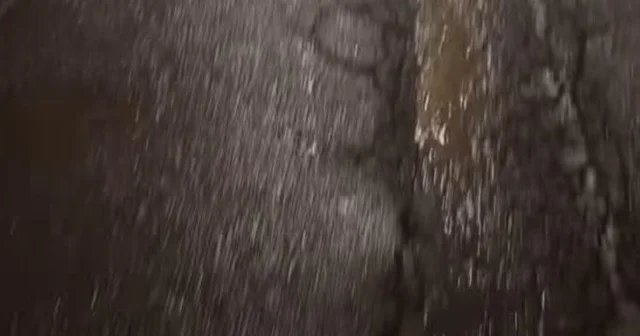 CHP li Belediye Meclis Üyesinden manalı paylaşım Bilecik Haberleri