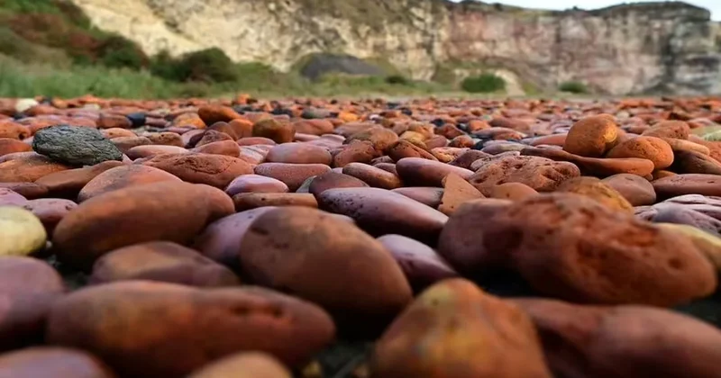 Zehir saçan bu plaj artık define avcılarının uğrak yeri Sözcü Gazetesi