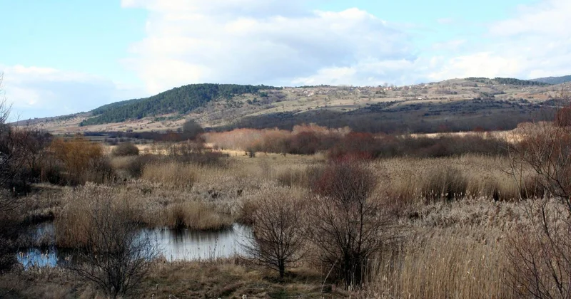 Tarımsal drenaj turbalıkları karbon fabrikasına çeviriyor