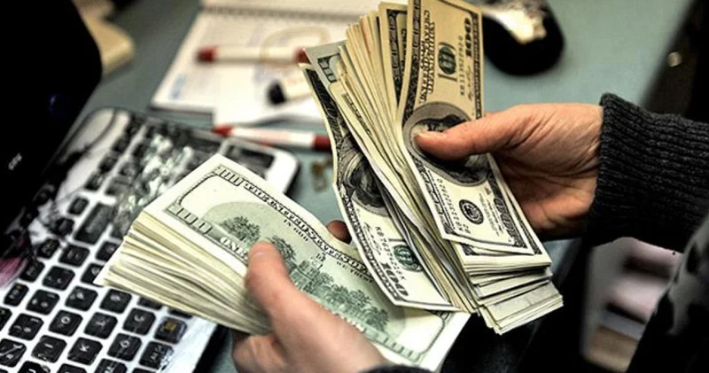 Merkez Bankası ndan döviz açıklaması Döviz Haberleri