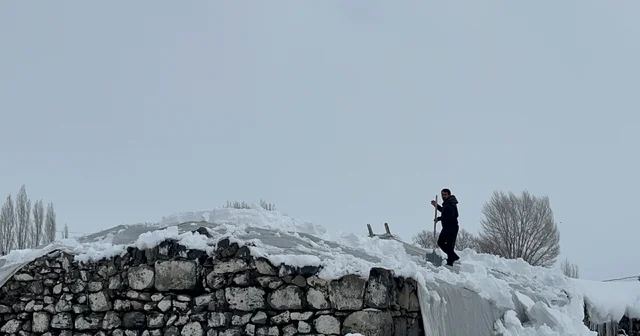Kars ta köylerde ahırlar için seferberlik Kars Haberleri