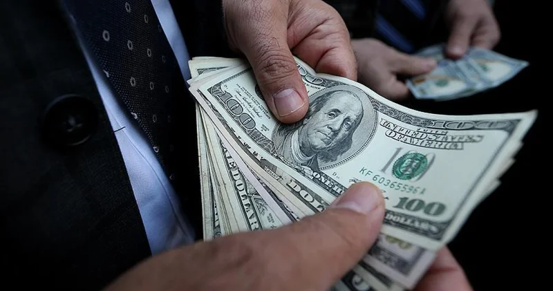 TCMB nezdinde TL uzlaşmalı vadeli döviz satım işlemleri başlıyor Döviz Haberleri