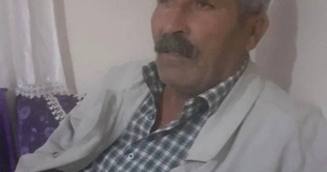 Kaçan ineğini yakalamak isterken hafif ticari aracın çarptığı kişi öldü Diyarbakır Haberleri