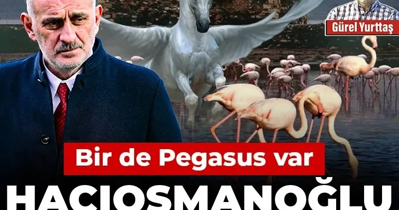 Hacıosmanoğlu flamingolara karşı: Bir de Pegasus var