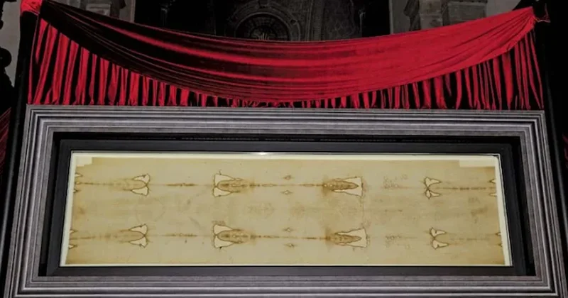 Papa bile gerçek sanmıştı: Kefenden tam 7 hayvan çıktı Sözcü Gazetesi