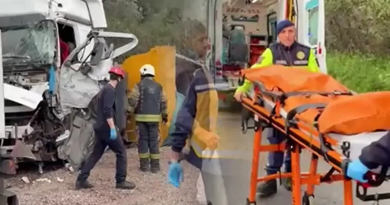 Yer: Kocaeli! TEM de 4 araç birbirine girdi, ortalık kan gölüne döndü: 2 ölü