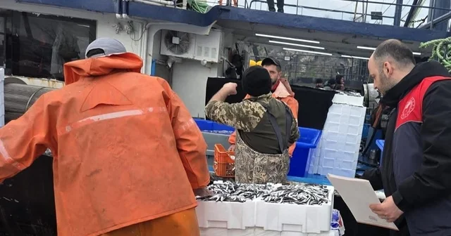 Kırklareli nde hamsi avcılığına sıkı denetim: 15 milyon 270 bin 699 kilogram hamsi karaya çıkarıldı Kırklareli Haberleri