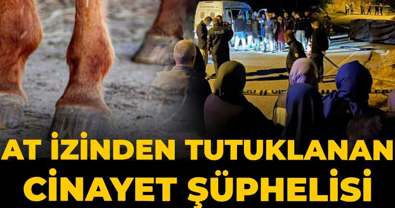 At izinden tutuklanan cinayet şüphelisi mahkemede konuştu