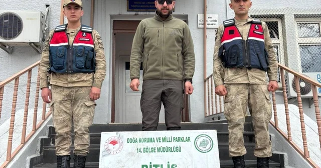 Bitlis te yasa dışı av yapan 2 kişiye ceza kesildi Bitlis Haberleri