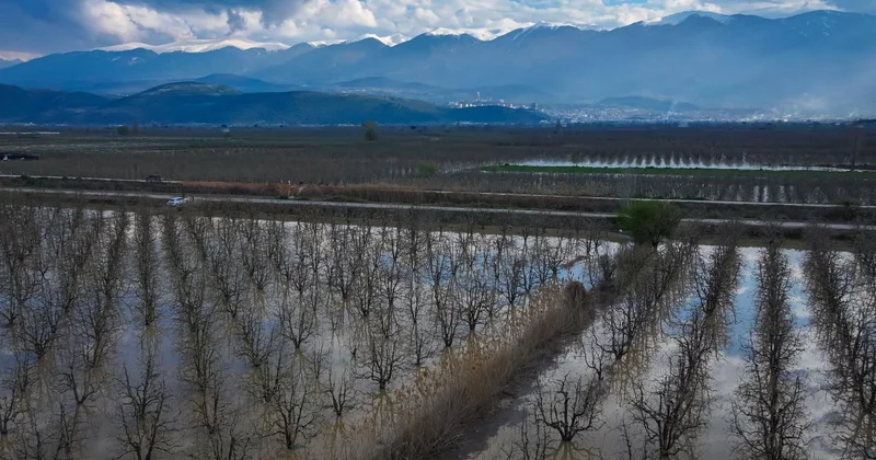 3 gün süren sağanak Gürsu Ovası’nı su altında bıraktı