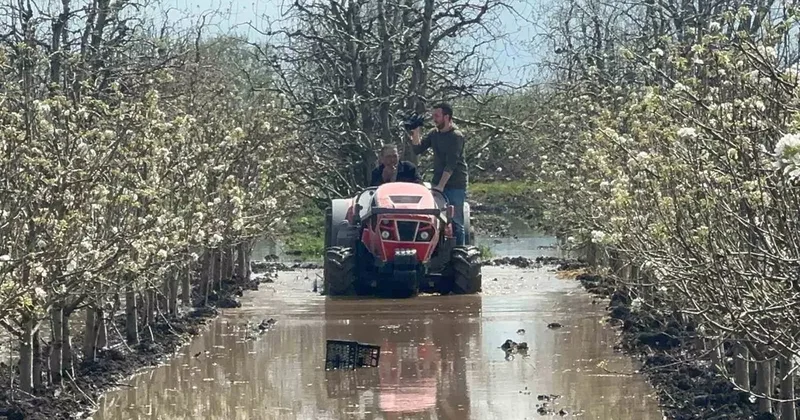 Bursa’da yüzlerce dönüm şeftali ve armut bahçesi su altında
