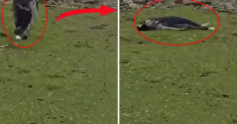 İsrail in Suriye ye Baskını