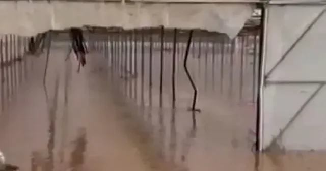 Antalya’da sel felaketi: Dereler taştı tarım arazileri göle döndü VİDEO İZLE