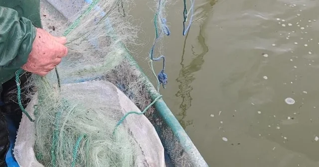 Gölde 800 metre balık ağı ele geçirildi Çorum Haberleri