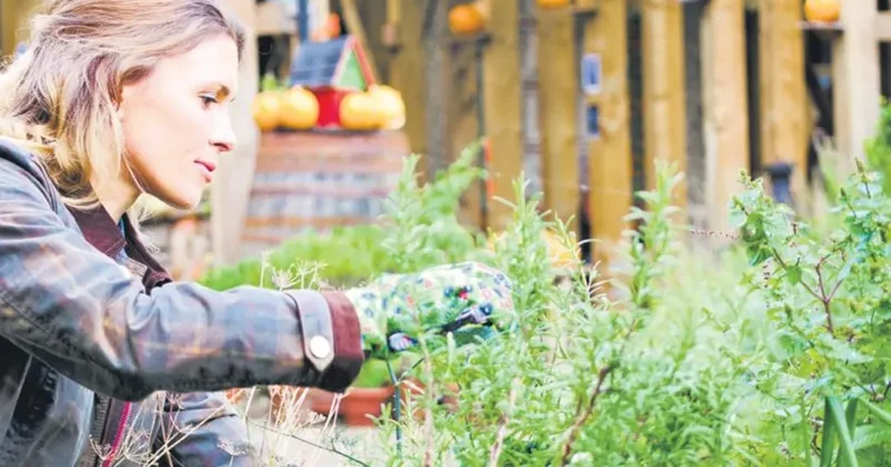 Bahçe işleri ruha iyi geliyor