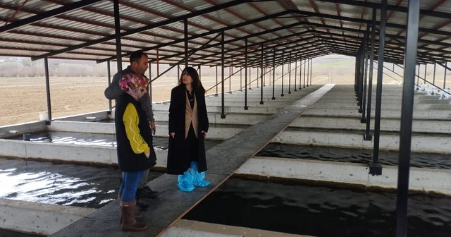 Tercan da alabalık üretim tesisine denetim Erzincan Haberleri