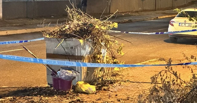 Bebeğini çöpe atan anne için müebbet talebi: Duruşma salonunda tutuklandı Kastamonu Haberleri