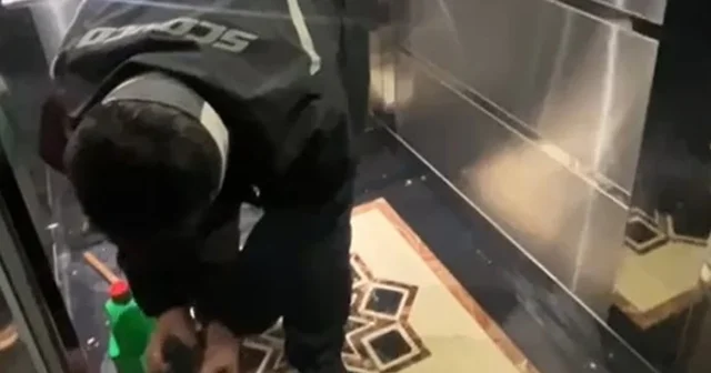 Asansöre tuvaletini yapan kuryeye asansörü temizlettiler Önce pizzayı yedi, ardından asansöre tuvaletini yaptı: Gözaltına alındı Düzce Haberleri
