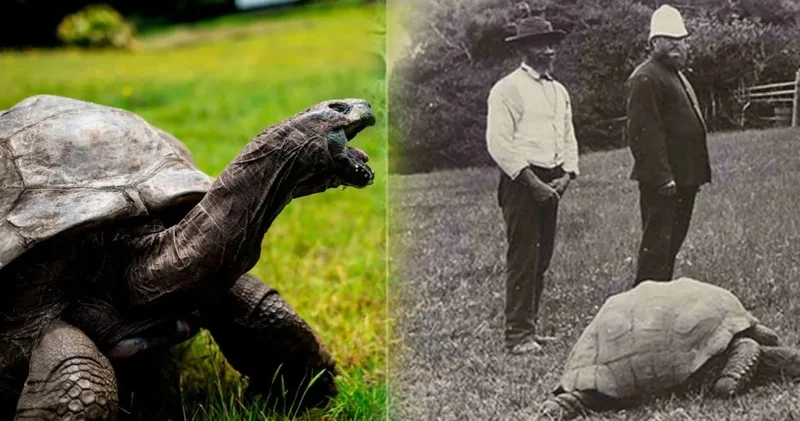 194 yıllık efsaneye büyük yalan: Ölüm haberi sahte çıktı