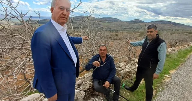 Yağışlar Araban Ovası nda üreticinin yüzünü güldürdü Gaziantep Haberleri