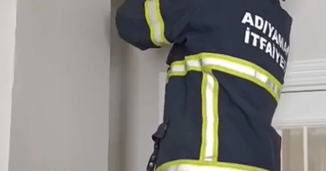 Asma tavanda sıkışan 4 yavru kedi kurtarıldı Adıyaman Haberleri