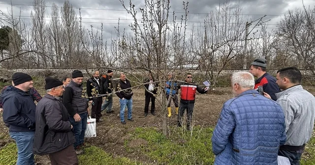 Kütahya da meyve üreticilerine budama ve aşılama eğitimi Kütahya Haberleri