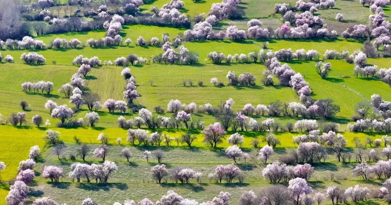 Görüntü İsviçre den değil Türkiye den