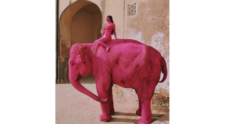 Fotoğraf için pembeye boyanan fil hayatını kaybetti