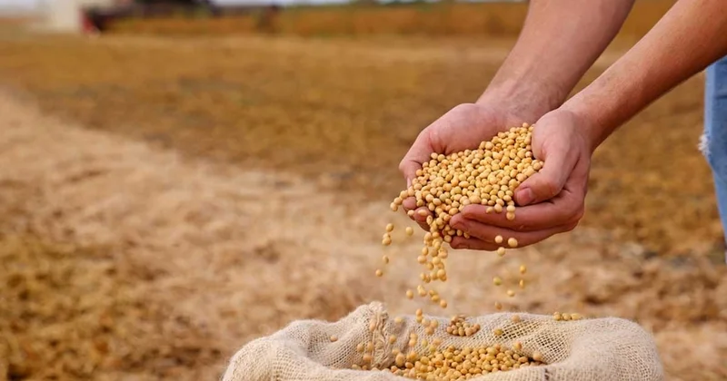 Putin, Mısır a tahıl sevkiyatında işbirliği için hükümete talimat verdi Sözcü Gazetesi