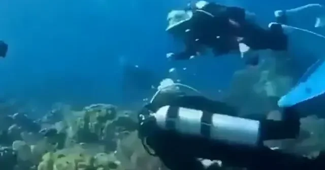 Endonezya daki dev deprem dalgıçları denizin dibinde böyle savurdu VİDEO İZLE