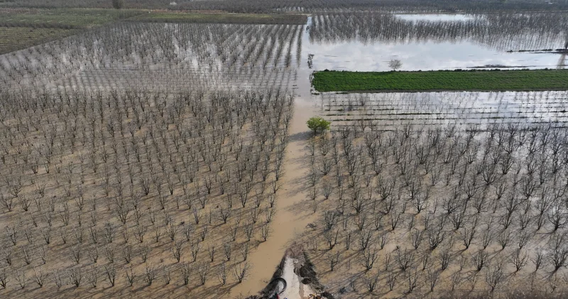 12 yıldır ilk kez yaşıyoruz! Tarlalar, bahçeler, seralar sular altında! Son dakika haberleri