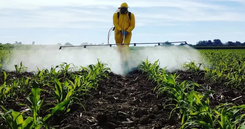 Pestisit maruziyeti büyüyür: Kanser riski yüzde 150’ye kadar yükseliyor