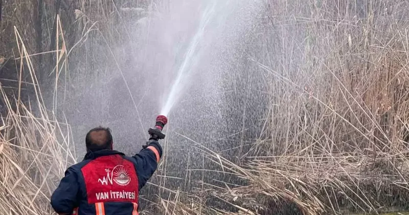 Van’da sazlık alanda yangın