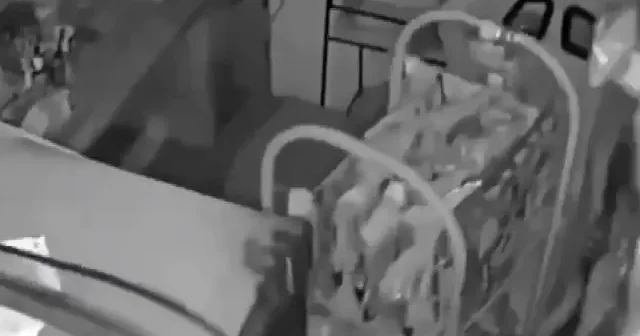 Endonezya da 7.4 büyüklüğünde deprem: Tsunami uyarısı yapıldı VİDEO İZLE