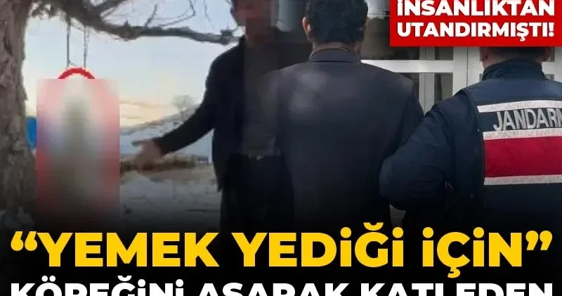 “Yemek yediği için” köpeğini asarak katleden saldırgan tutuklandı