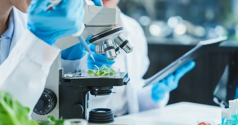 Sayı sayıyor çevresindeki olayları kaydediyor: Üstelik tüm bunları beyni olmadan yapıyor Sözcü Gazetesi