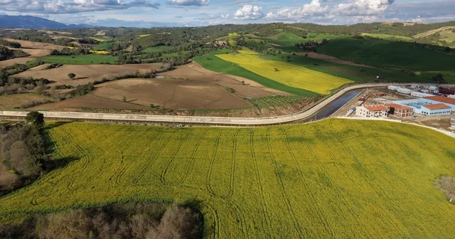 Devlet destekli kanola üretimi Adanalı çiftçinin yüzünü güldürdü Adana Haberleri