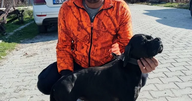 Çiğli de arıtma tesisindeki çamur çukuruna araçla düşen işçi hayatını kaybetti İzmir Haberleri