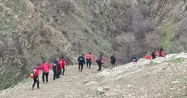 Kaybolan 4 yaşındaki Rabi, 250 kişilik ekiple aranıyor Bitlis Haberleri