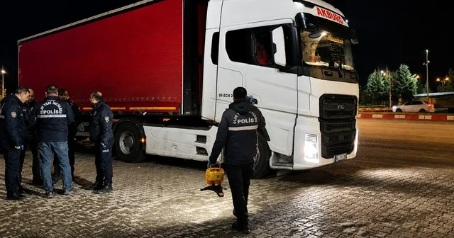 Malatya da TIR ın çarptığı yaya öldü; şoför gözaltında Malatya Haberleri