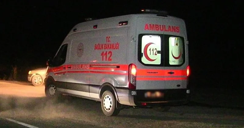 Kastamonu da üzerine ağaç devrilen kişi öldü Son dakika haberleri