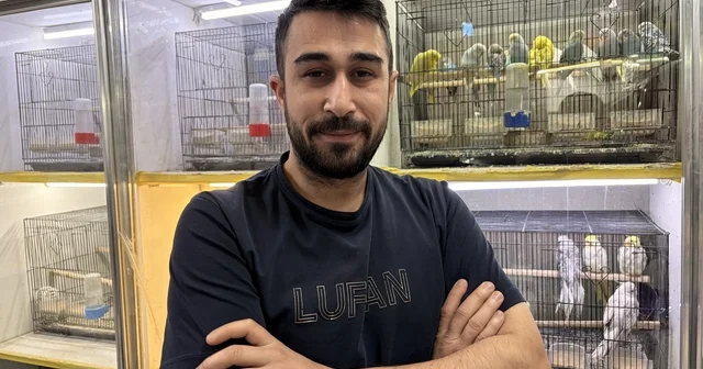 Teknoloji bağımlılığına karşı evcil hayvan önerisi Kayseri Haberleri