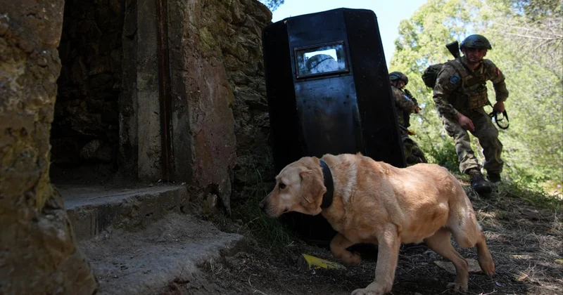 EFES 2026 da nefes kesen operasyon: Terör inleri temizlendi