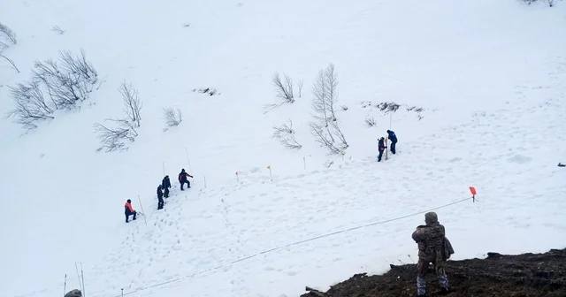 Artvin de çığ altında kalan çoban 122 gündür kayıp: Arama çalışmaları yeniden başladı Artvin Haberleri